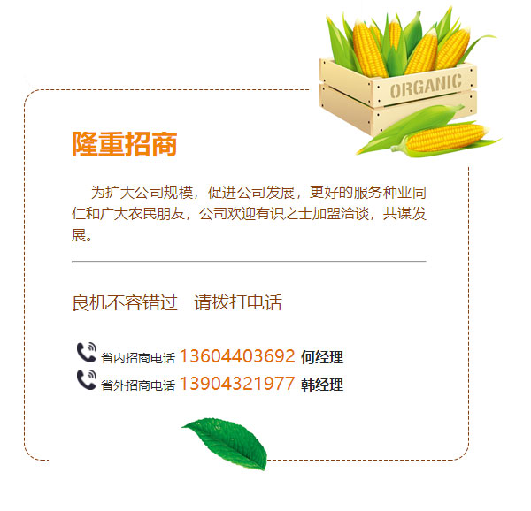 新聞動(dòng)態(tài)